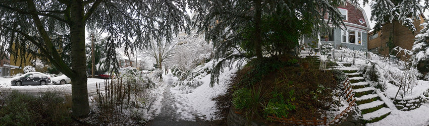 Snow, Belmont S of Harrison, Seattle WA