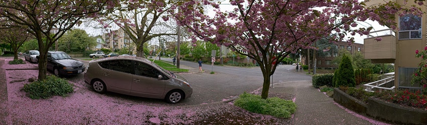 Belmont & Bellevue, Capitol Hill, Seattle WA