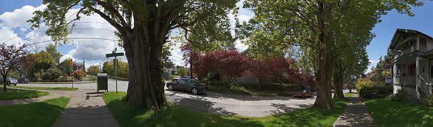 65th At & Palatine, Seattle WA