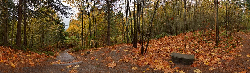 Llandover Park, Seattle WA