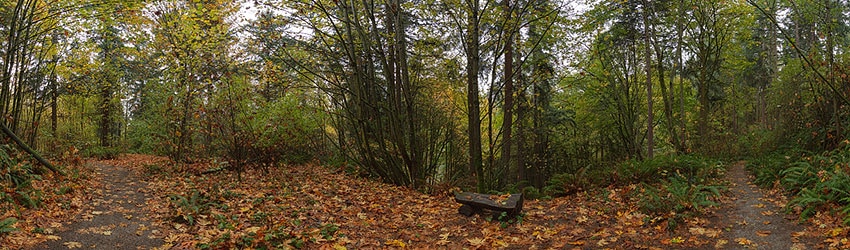 Llandover Park, Seattle WA