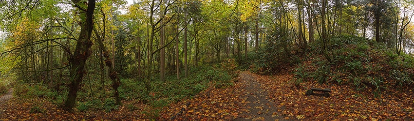 Llandover Park, Seattle WA