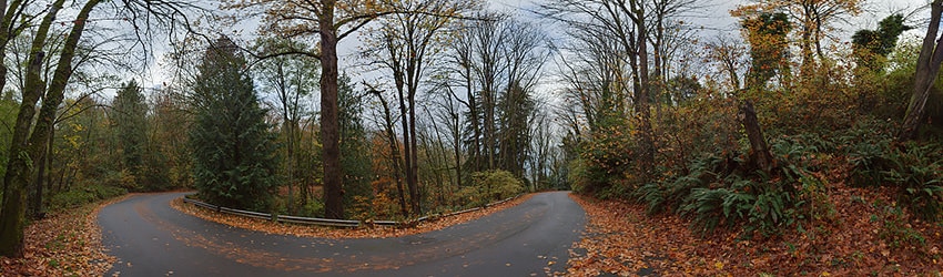 Interlaken Drive, Seattle WA