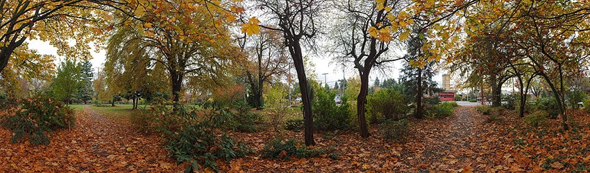 Roanoke Park, Seattle WA