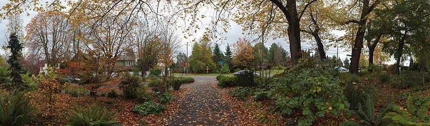 Roanoke Park, Seattle WA