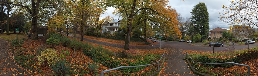Roanoke Park, Seattle WA