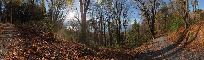Golden Gardens, Seattle WA