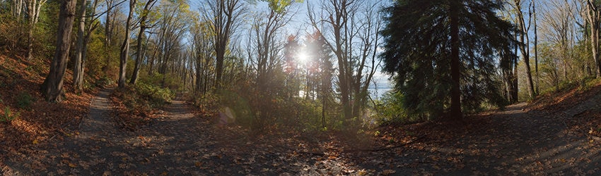 Golden Gardens, Seattle WA