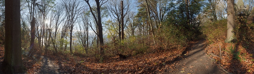 Golden Gardens, Seattle WA