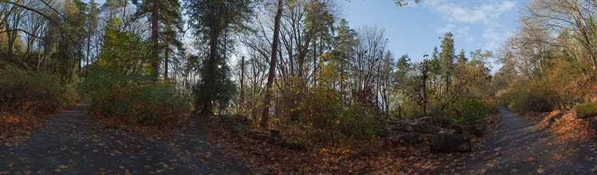 Golden Gardens, Seattle WA