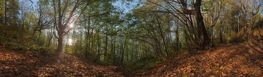 Golden Gardens Park, Seattle WA