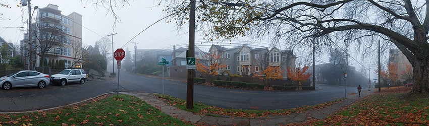 Summit & Belmont, Capitol Hill, Seattle WA