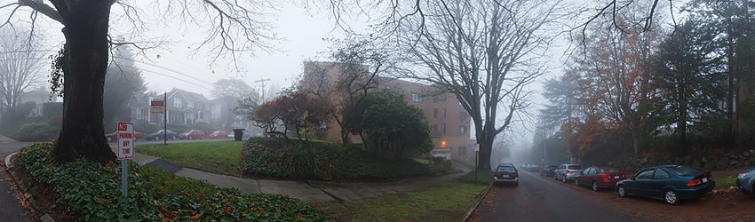 Bellevue & Belmont, Capitol Hill, Seattle WA