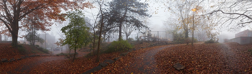 Roy St & Federal Ave, Capitol Hill, Seattle WA