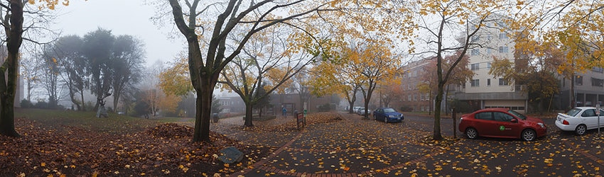 Tashkent Park, Capitol Hill, Seattle WA