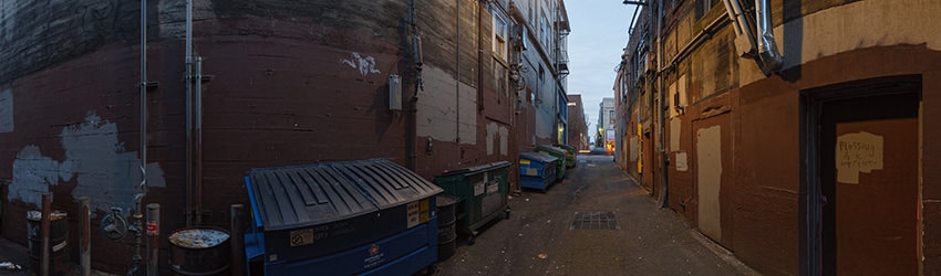 Alley, University District, Seattle WA