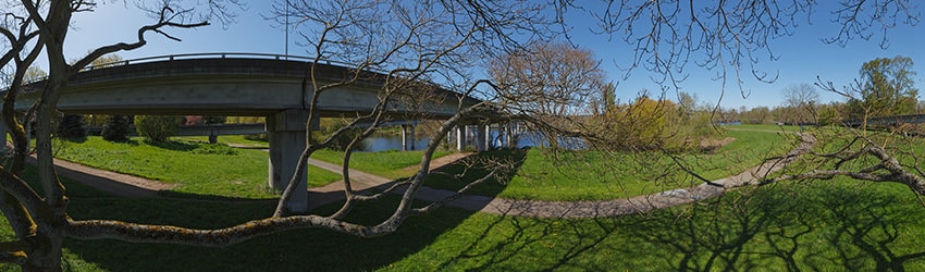 Freeway Ramps, Washington Park Arboretum, Seattle WA