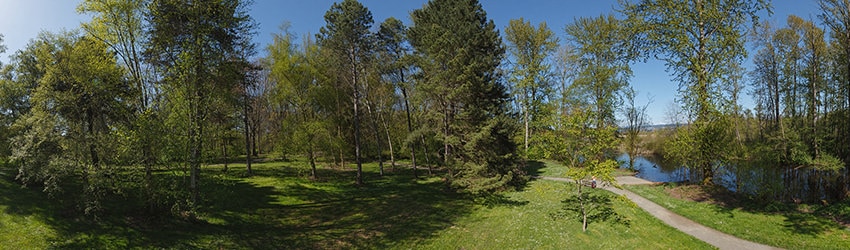 Washington Park Arboretum, Seattle WA