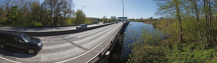 Overlooking Route 520 at the Arboretum, Seattle WA