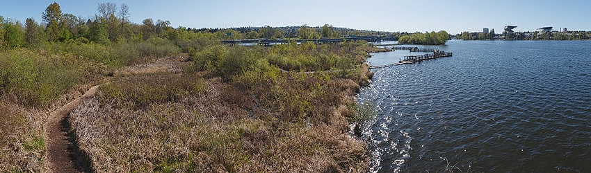 Foster Island, Washington Park Arboretum, Seattle WA