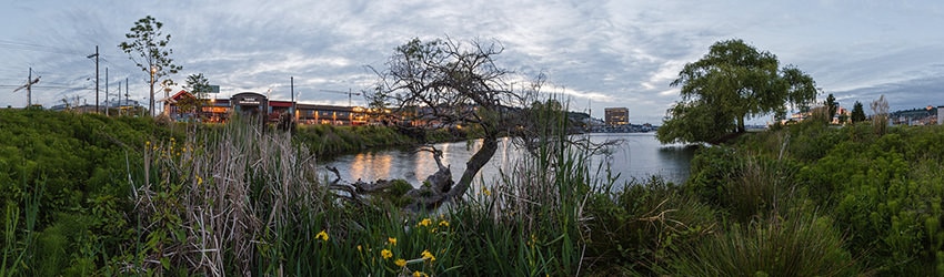 Lake Union Park, Seattle WA