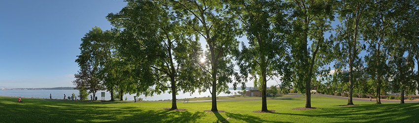 Myrtle Edwards Park, Seattle WA