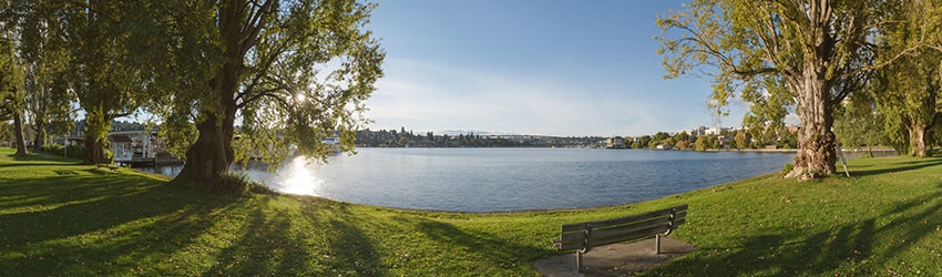West Montlake Park, Seattle WA