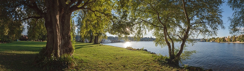 West Montlake Park, Seattle WA