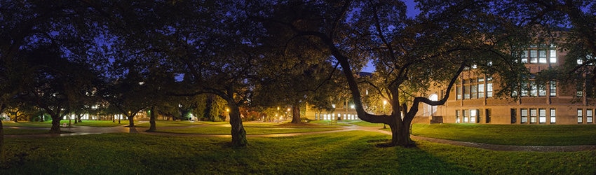 Quad at the University of Washington, Seattle WA