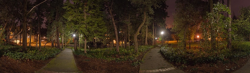 Wildwood Park, Bellevue WA