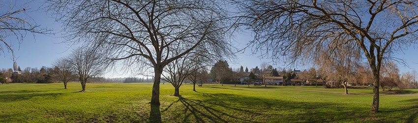 Genesee Park, Seattle WA