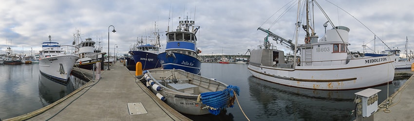 Fisherman's Terminal, Seattle WA