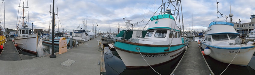 Fisherman's Terminal, Seattle WA