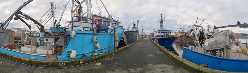 Fisherman's Terminal, Seattle WA