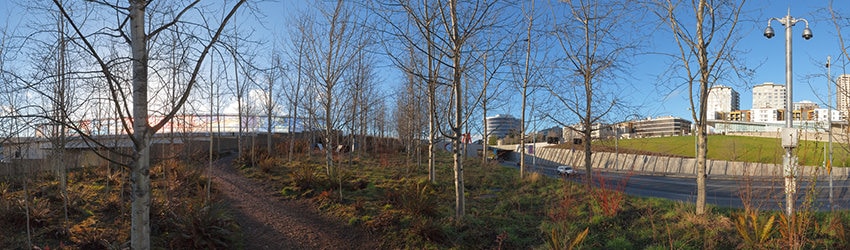 SAM Olympic Sculpture Park, Seattle WA
