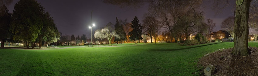 Roanoke Park, Seattle WA