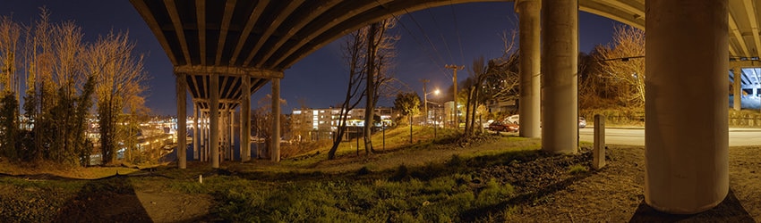 Under SR 520 at Boyer Ave E, Seattle WA