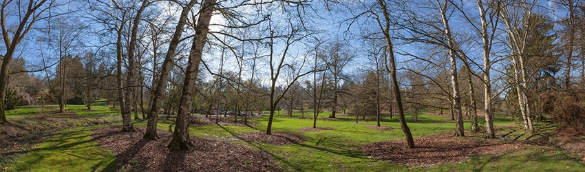Washington Park Arboretum, Seattle WA