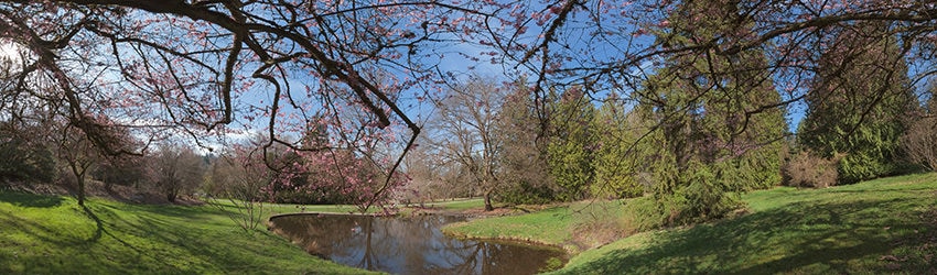 Washington Park Arboretum, Seattle WA