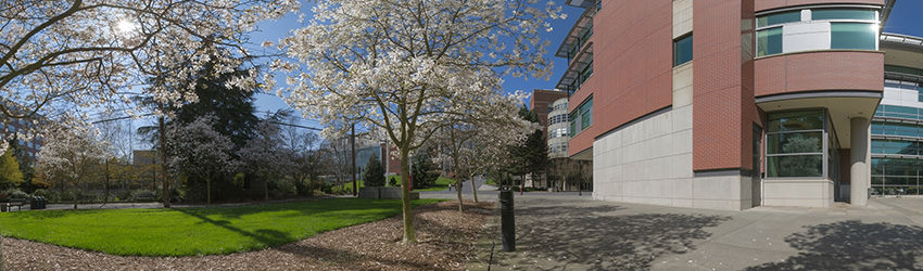 Seattle University, First Hill, Seattle WA