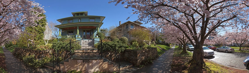 Cherry Blossoms at 21st & Prospect, Capitol Hill, Seattle WA