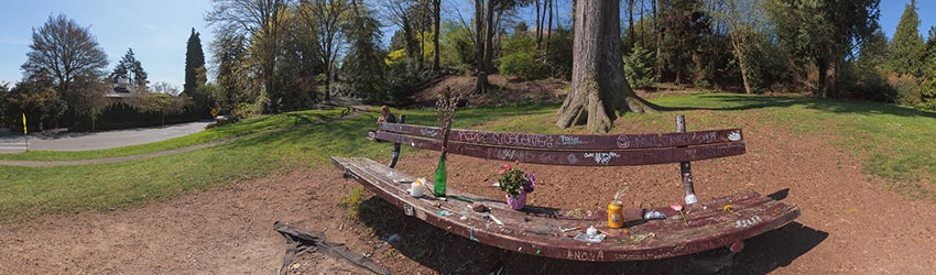 Kurt's Bench, Viretta Park, Madrona, Seattle WA