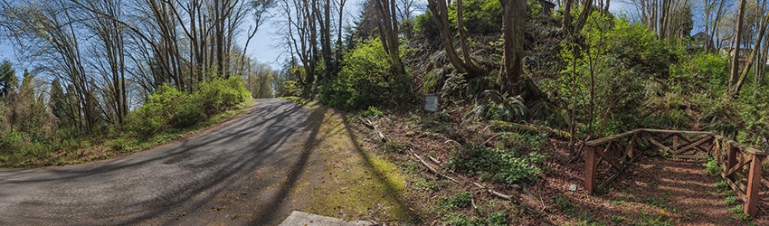 38th Ave, Madrona Park, Seattle WA