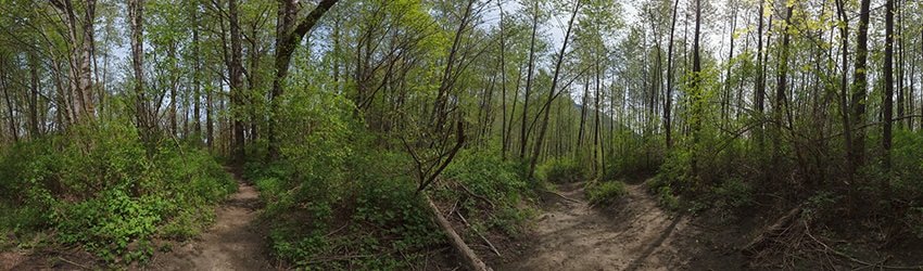Three Forks Natural Area, Snoqualmie WA