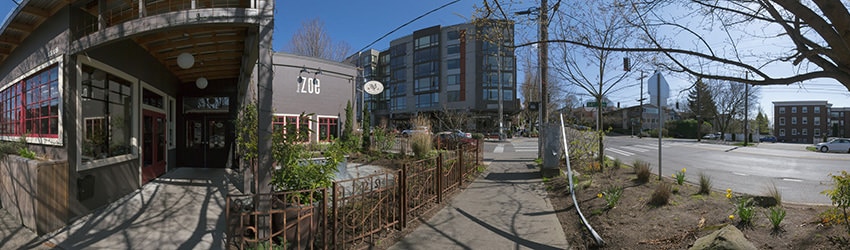 14th Ave & Unions St, Capitol Hill, Seattle WA