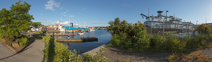 14th Ave & Shilshole Ave, Ballard, Seattle WA