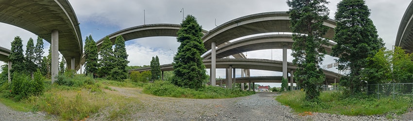 Beneath the West Seattle Freeway Interchange
