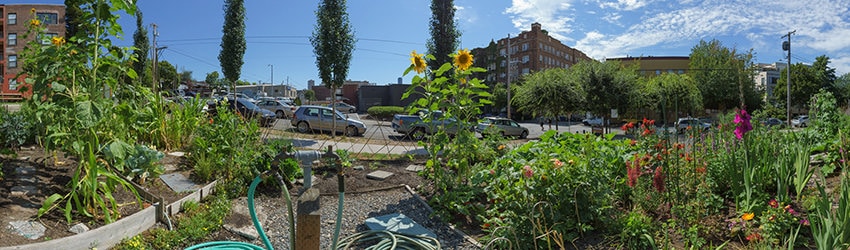 Summit Slope Park, Capitol Hill, Seattle WA