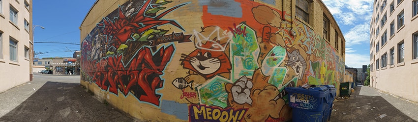 Alley Murals, Capitol Hill, Seattle WA