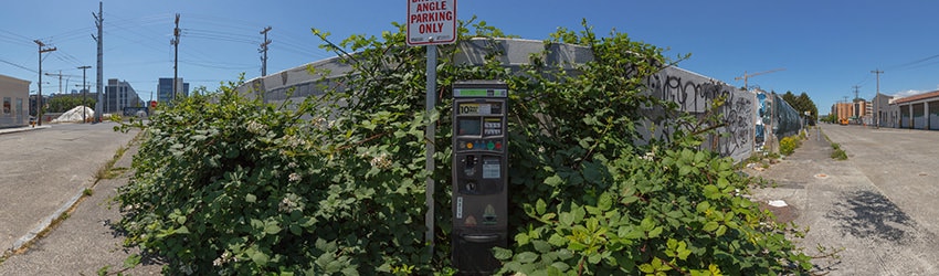 8th Ave, N of Valley St, South Lake Union, Seattle WA